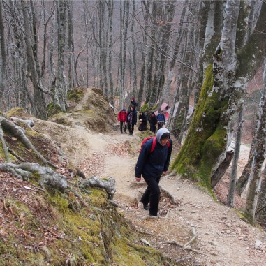 Pe munte, spre Pătrunsa